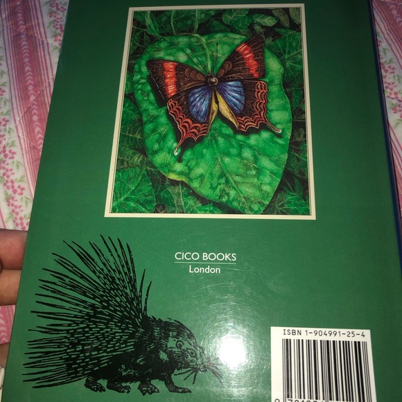 Animal Wisdom Book by Susie Green - Picture 3 of 9